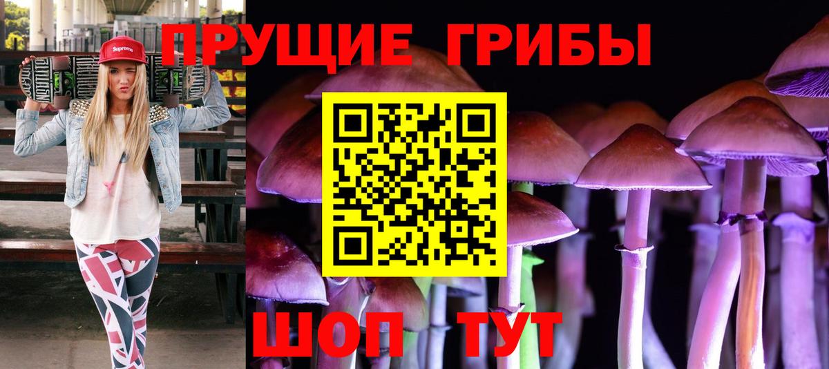 Галлюциногенные грибы прущие грибы  Вход с VPN  Бийск 
