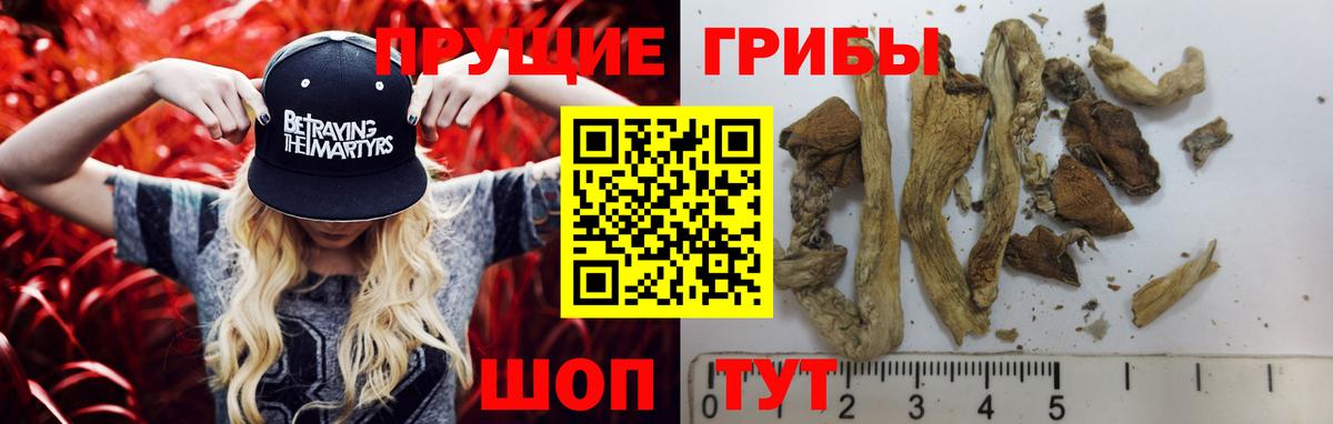 Галлюциногенные грибы Cubensis Бийск